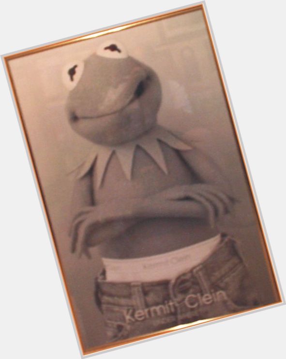 kermit the frog costume 3