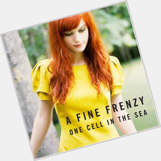 A Fine Frenzy New Pic 1